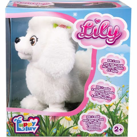 P LILI 2.jpg