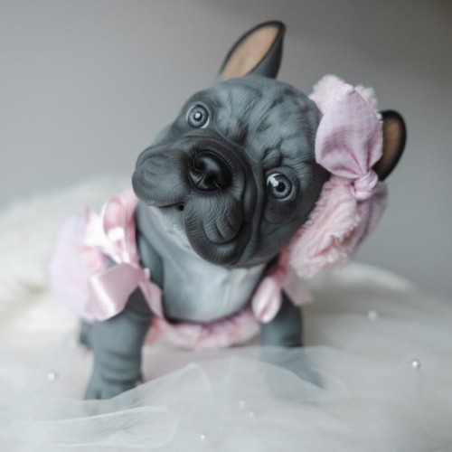 piesek-lily-buldog-francuski-32-cm-asi-0617620 (3).jpg