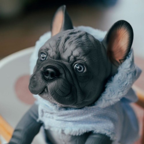 piesek-nono-buldog-francuski-32-cm-asi-0617610 (2).jpg